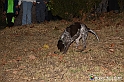VBS_6429 - Inaugurazione Stagione 2022-23 Simulazione Ricerca Tartufo